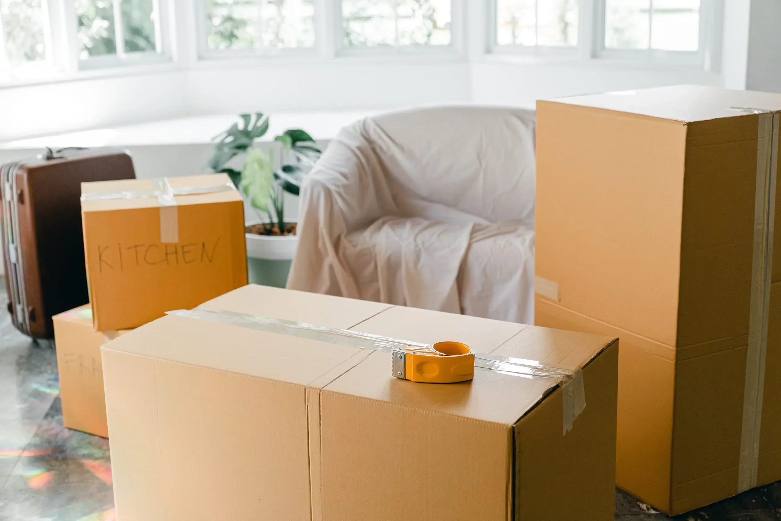 Senvironeza  - Expert for the assembly and transportation of furniture